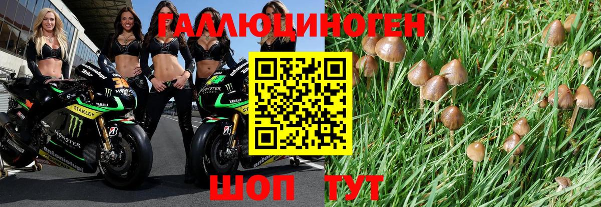Псилоцибиновые грибы мухоморы Видное