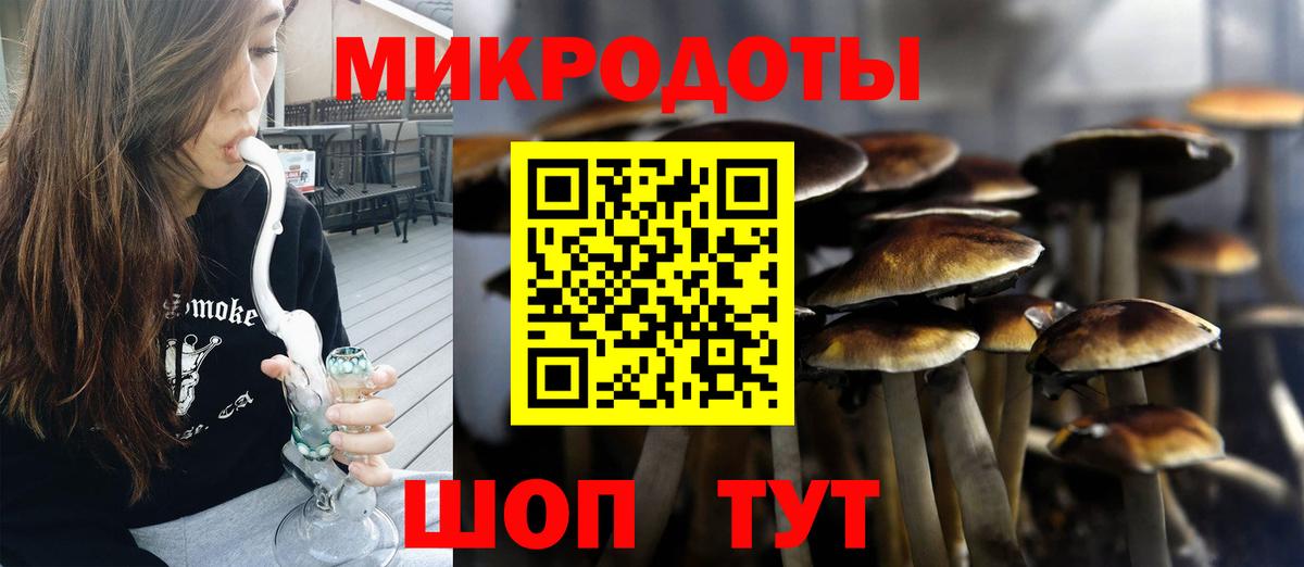 Галлюциногенные грибы ЛСД  Псилоцибиновые грибы Psilocybine cubensis  Видное  Вход с VPN 